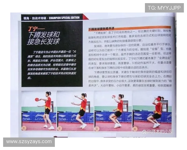 北京乒乓球队在冠军赛中的速度表现分析与战术探讨